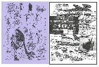 �񍐏W����